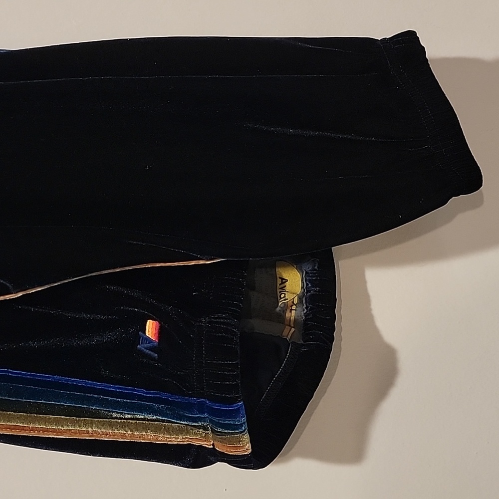 Aviator Nation Size Xl velour velvet sweatpants extra large RARE blue green Pant